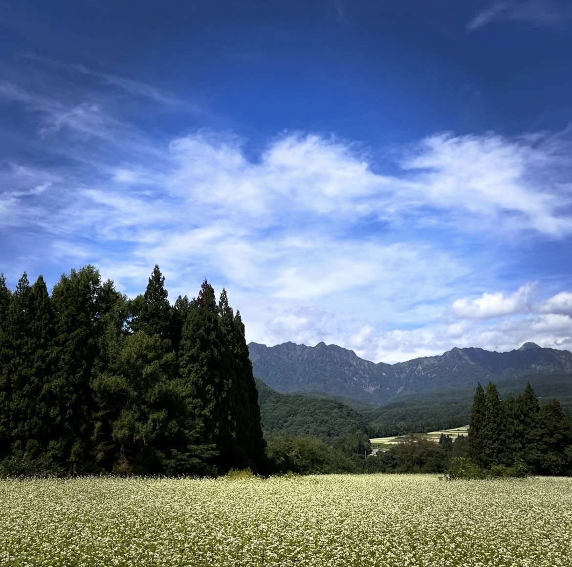 【戸隠の山々】の写真