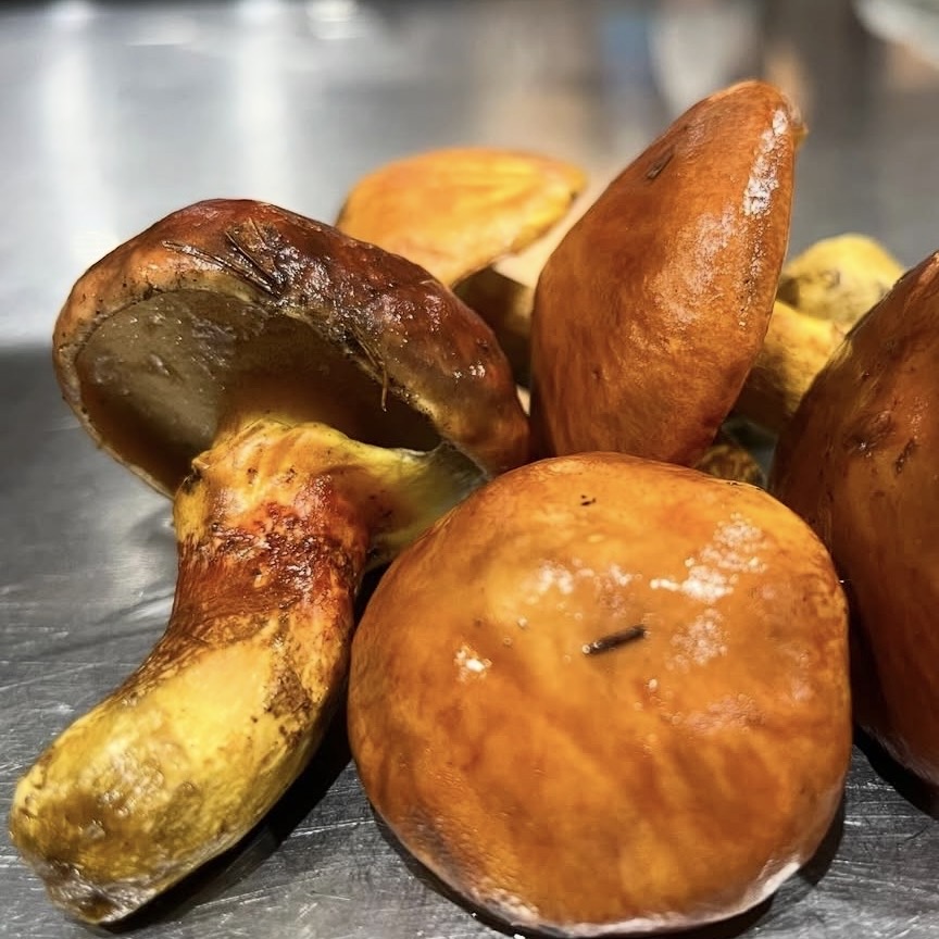 【山の恵み】の写真